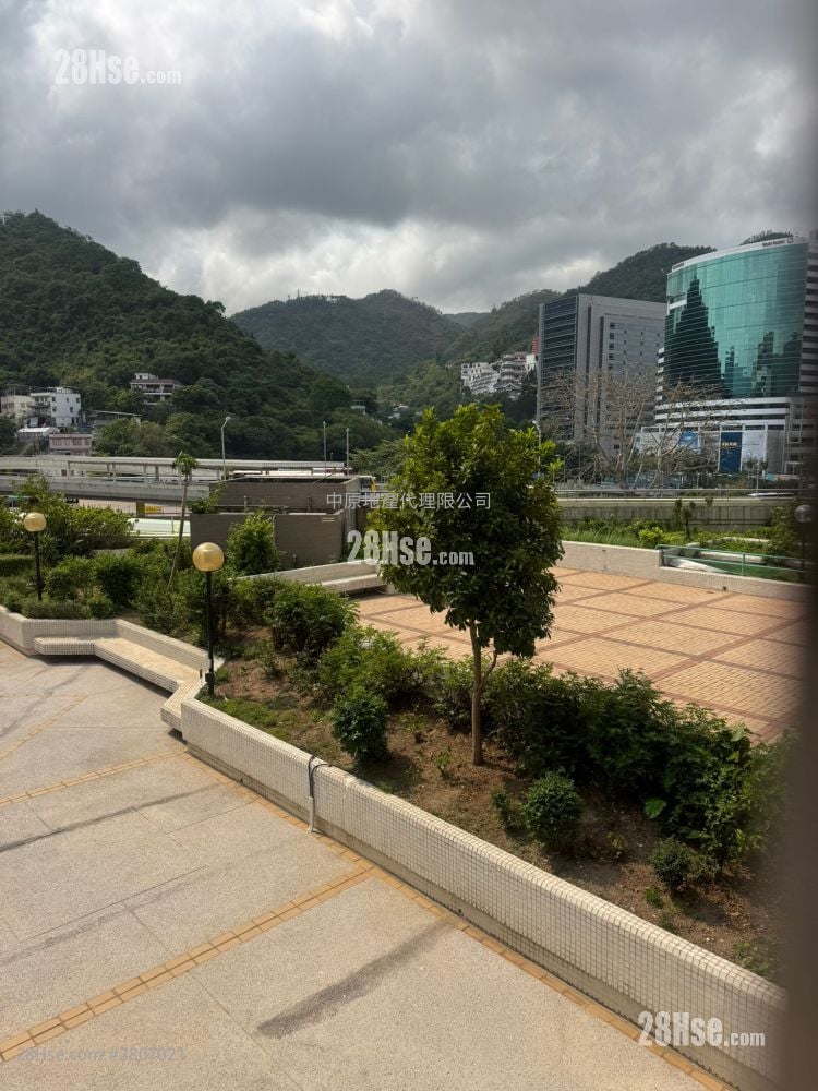 沙田广场 售盘 3 房 612 平方尺