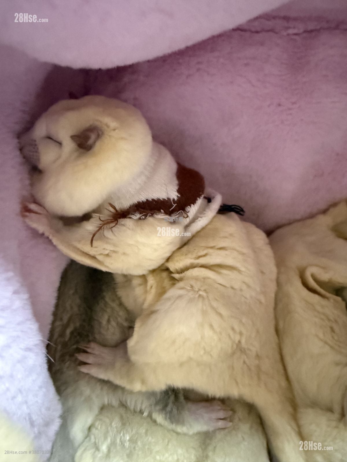 大埔中心 售盘 2 房 , 1 浴室 361 平方尺