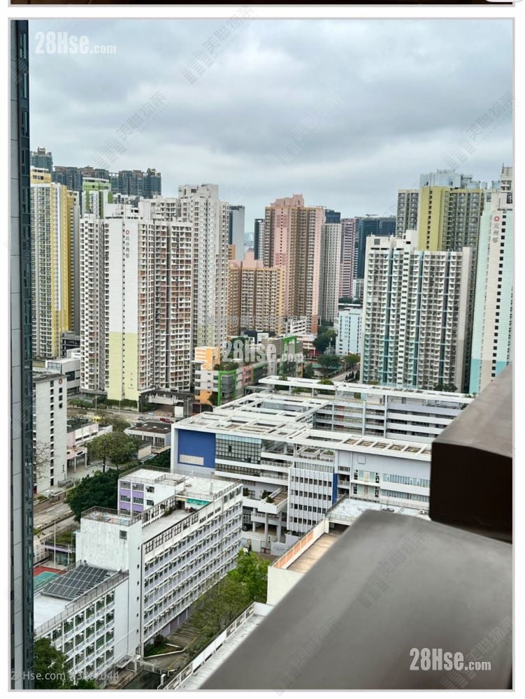 晓盈 售盘 1 房 295 平方尺