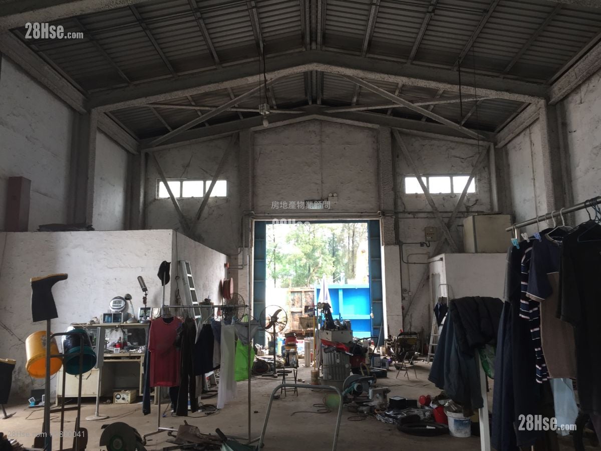 Castle Peak Road Rental