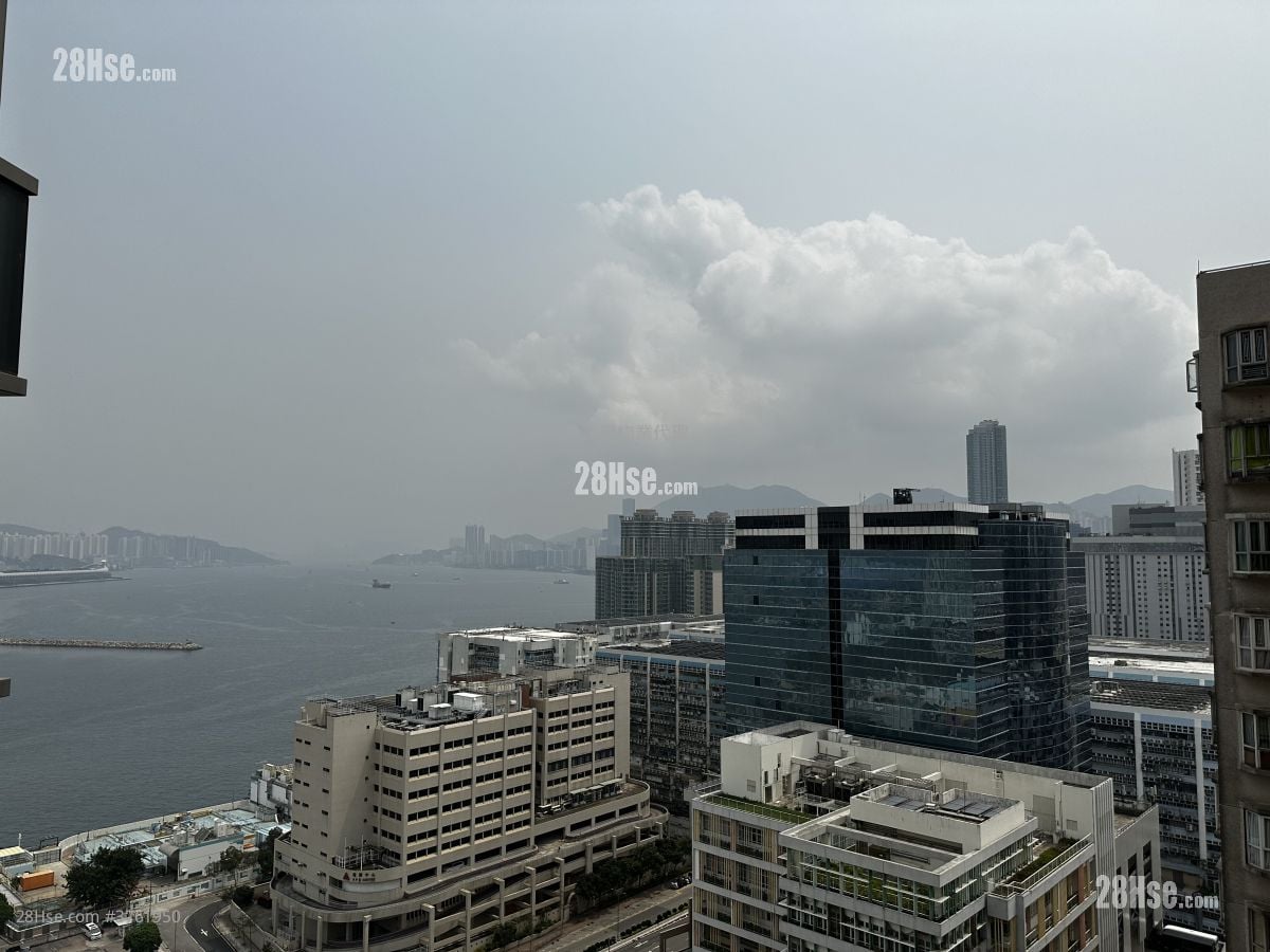 环海东岸 售盘 1 房 309 平方尺