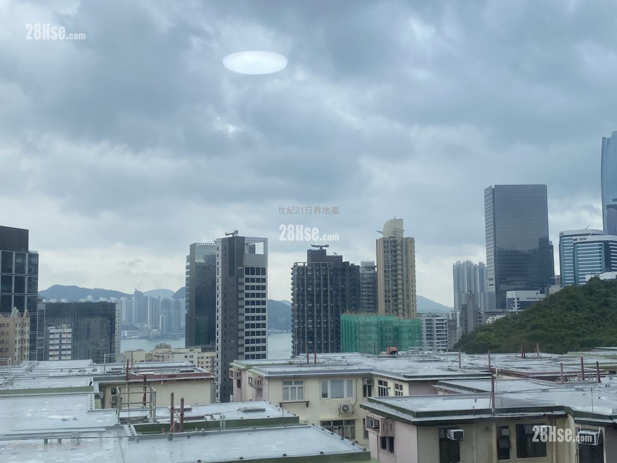 柏蔚山 租盘 1 房 , 1 浴室 570 平方尺