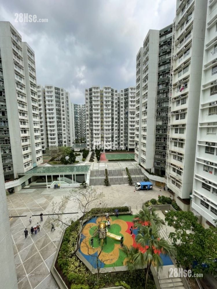 黄埔花园 租盘 2 房 , 1 浴室 389 平方尺