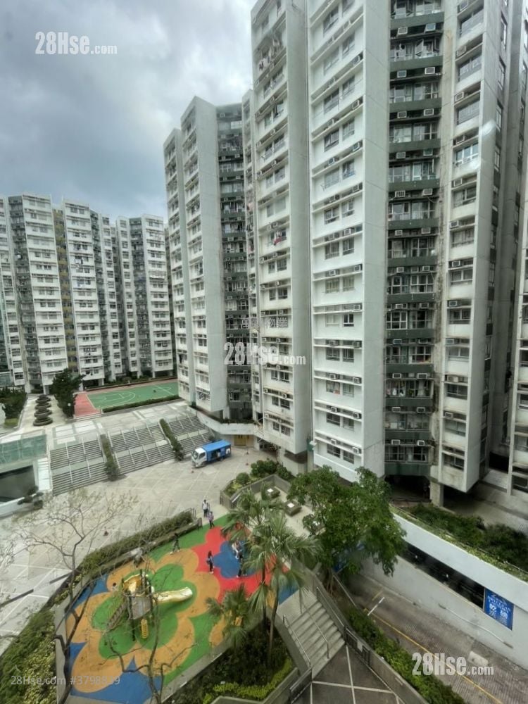 黄埔花园 租盘 2 房 , 1 浴室 389 平方尺