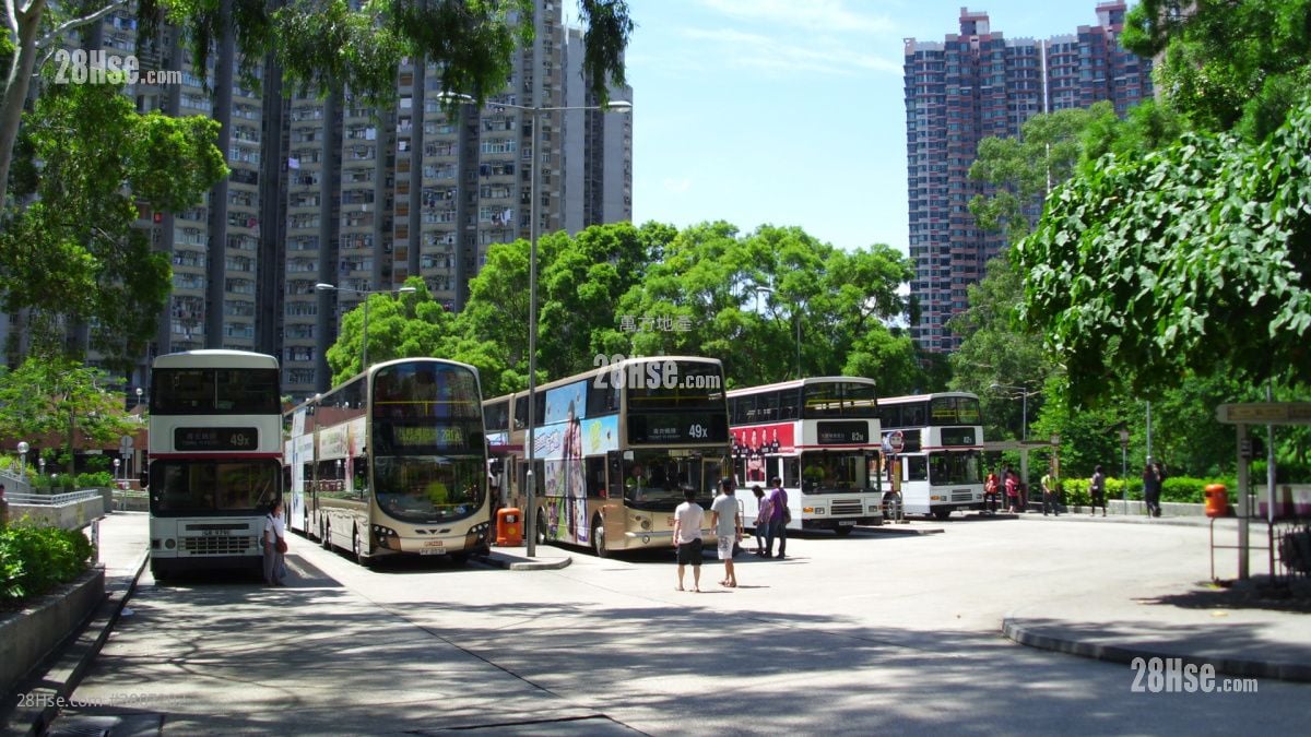 广林苑 售盘 3 房 , 1 浴室 543 平方尺