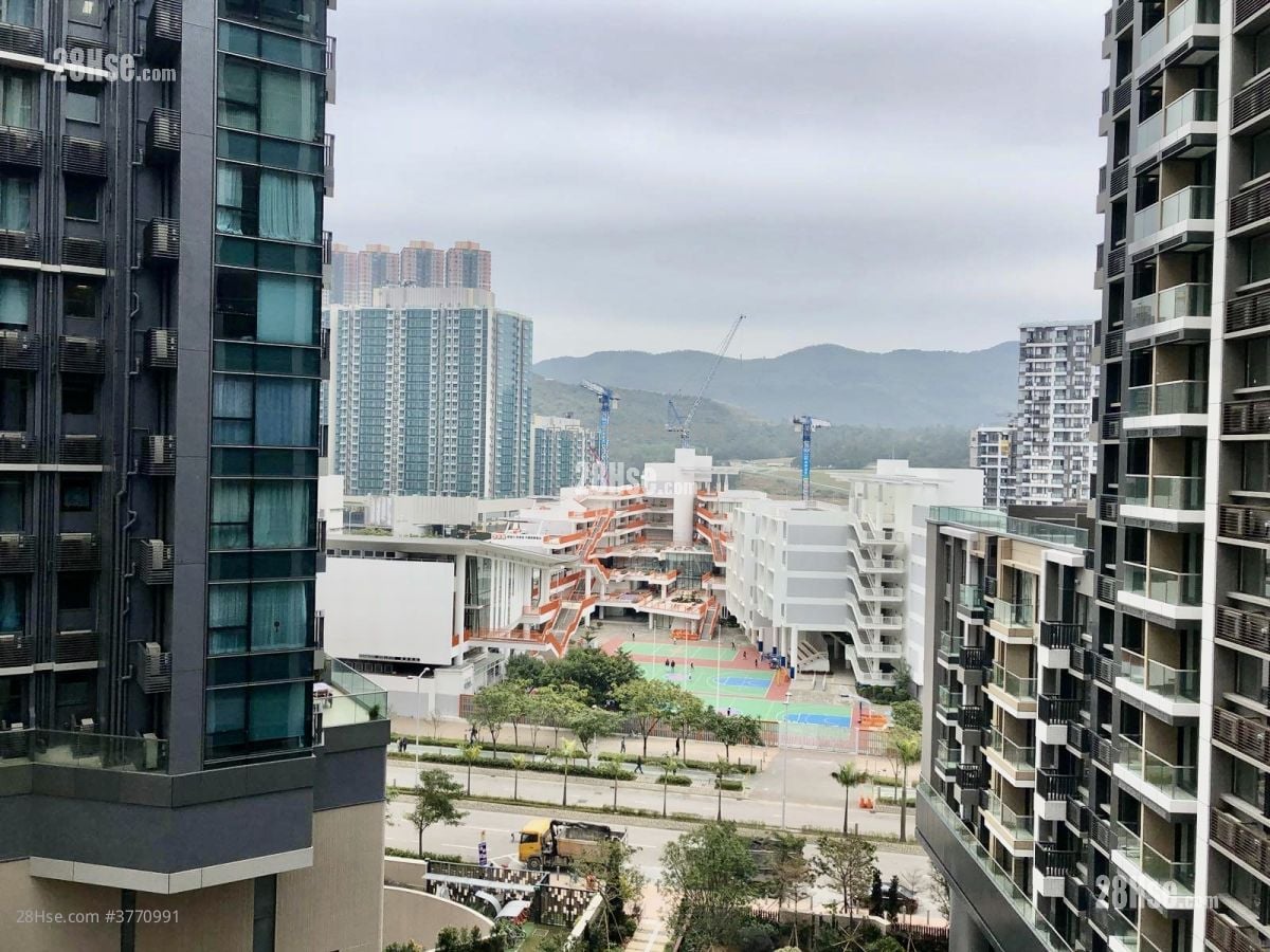 天晉 售盤 1 房 368 平方呎