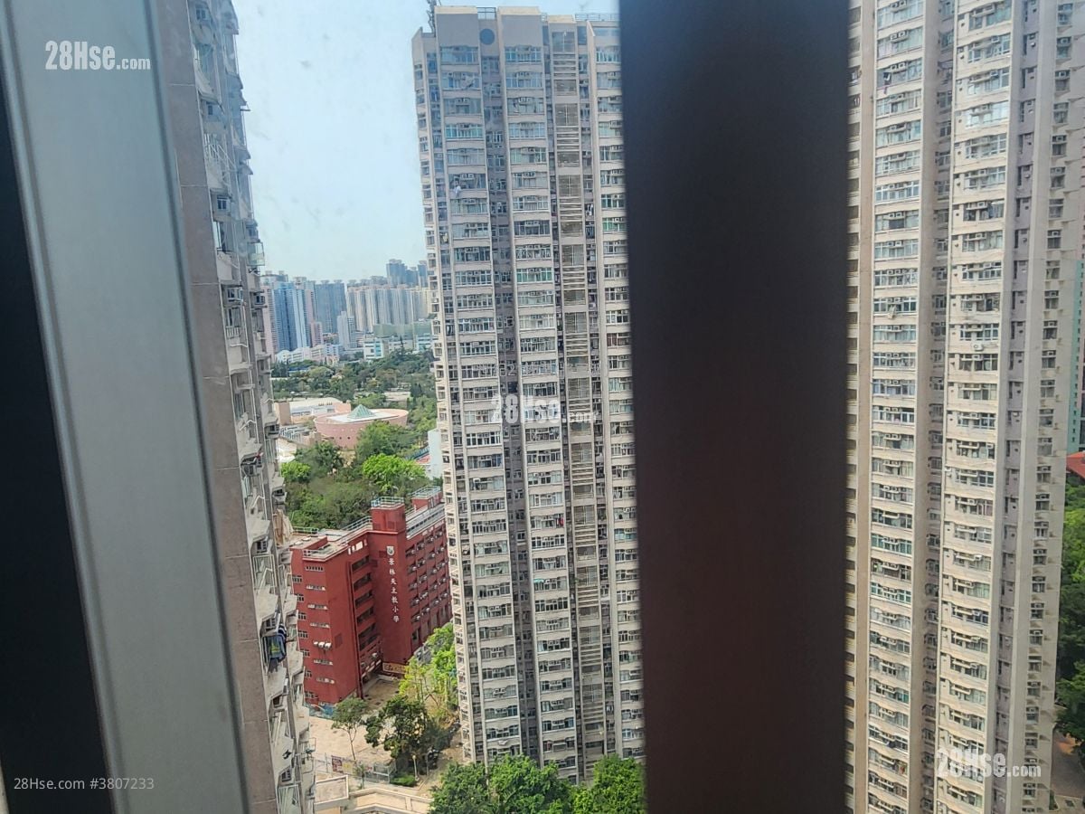 景林邨 售盘 381 平方尺