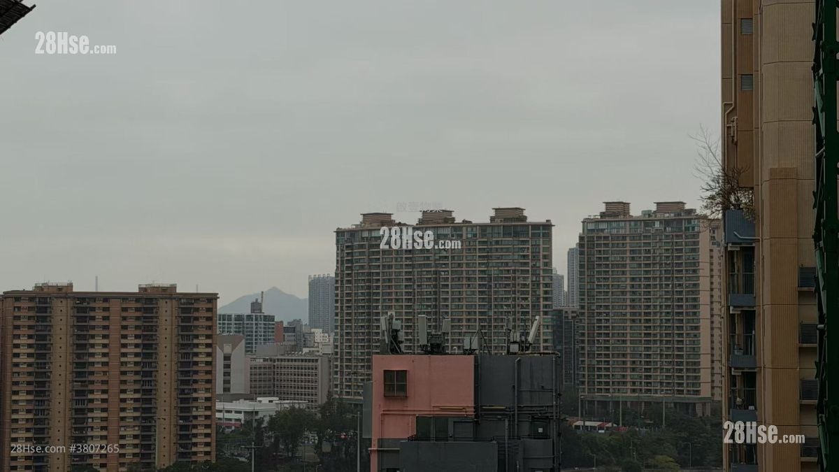 The Haddon Rental 1 Bedroom , 1 Bathroom 262 ft²