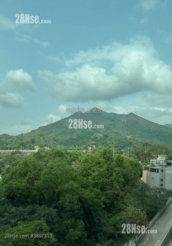 Avon Park Rental 3 Bedrooms , 1 Bathroom 491 ft²