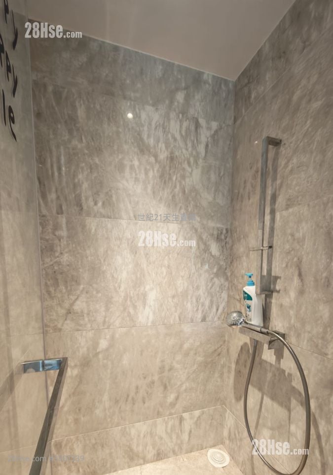 THE CARMEL 售盘 1 浴室 562 平方尺