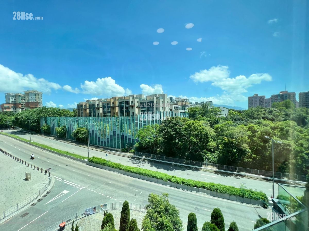 THE CARMEL 售盘 1 浴室 562 平方尺