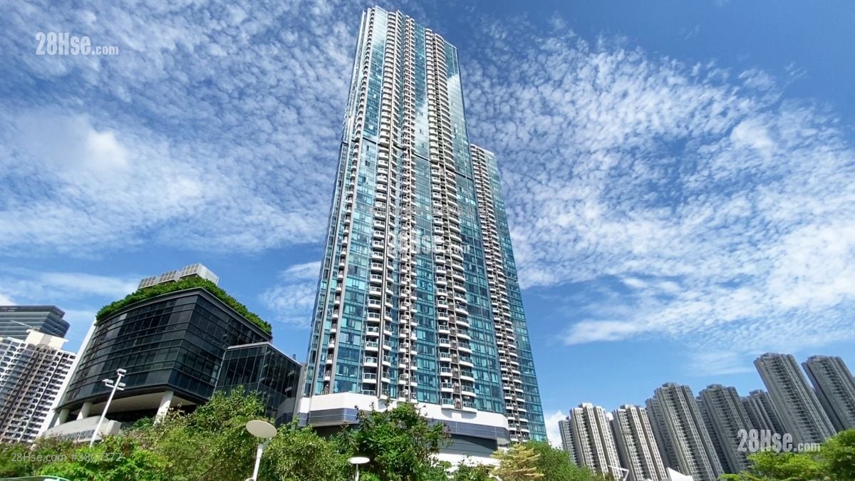 柏傲湾 租盘 3 房 , 1 浴室 645 平方尺