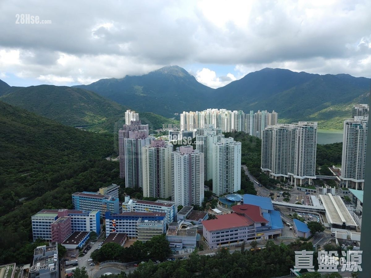 蓝天海岸 售盘 1 房 441 平方尺