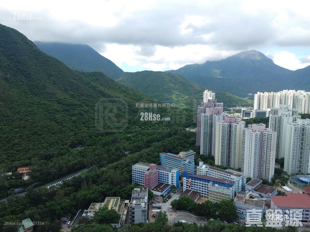 蓝天海岸 售盘 1 房 441 平方尺