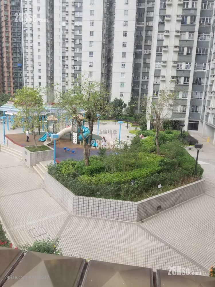 Belvedere Garden Sell 3 Bedrooms , 2 Bathrooms 742 ft²