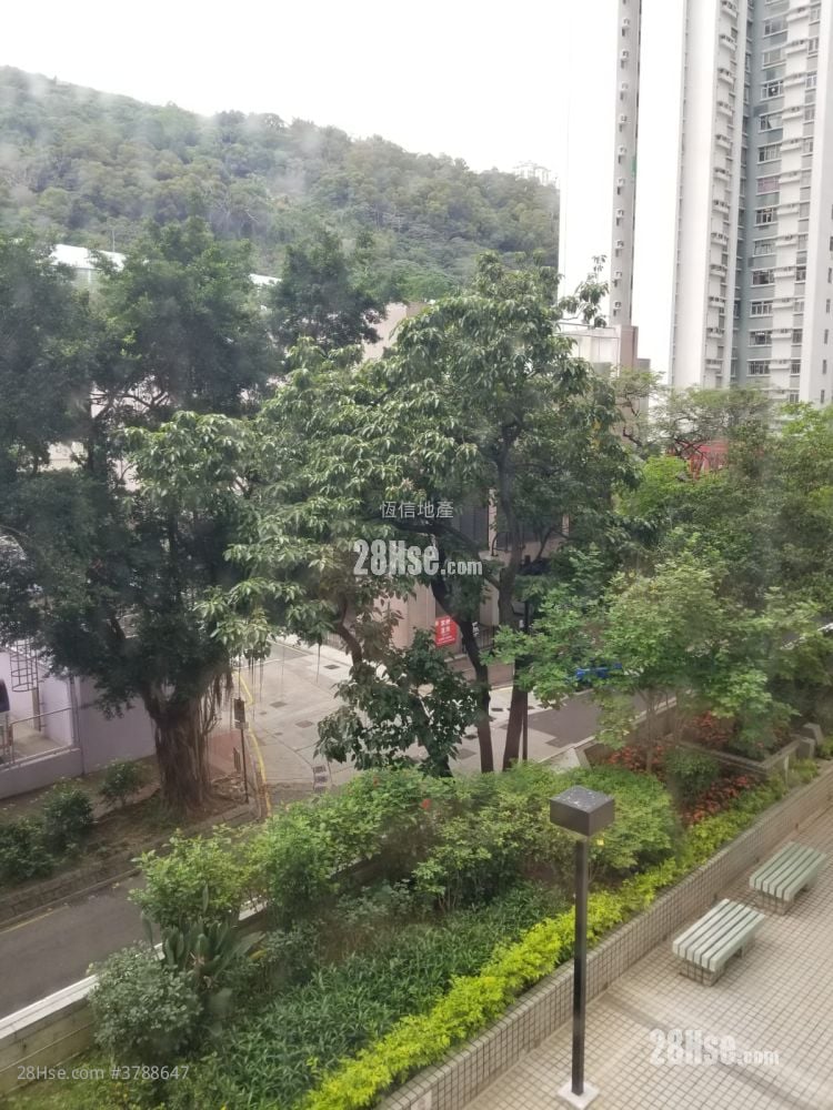 Belvedere Garden Sell 3 Bedrooms , 2 Bathrooms 742 ft²