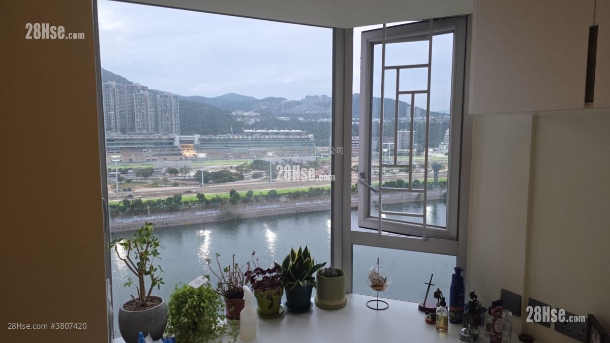 碧涛花园 售盘 3 房 , 2 浴室 702 平方尺