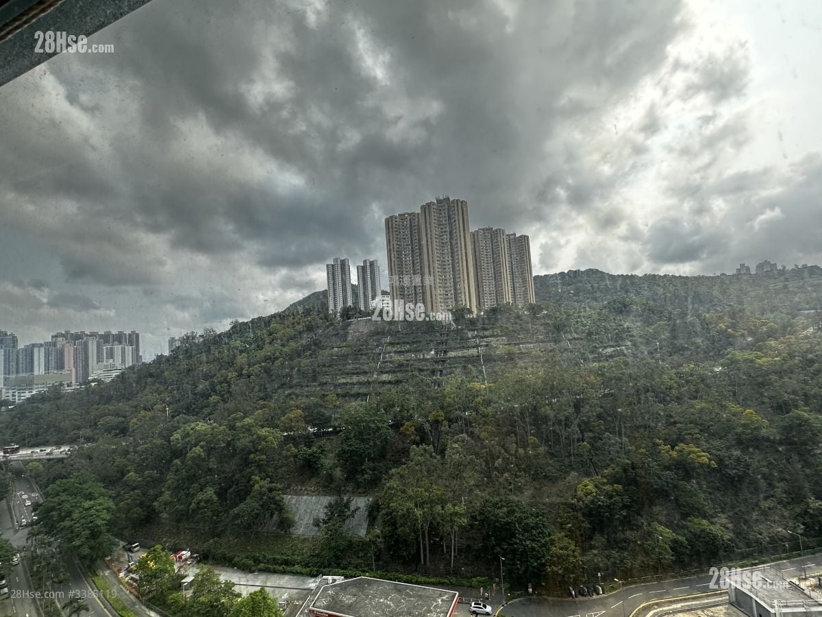 Verbena Heights Sell 3 Bedrooms , 2 Bathrooms 568 ft²