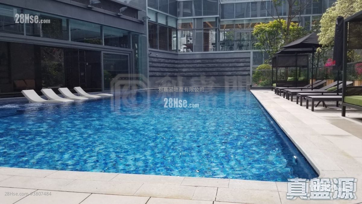 Lime Gala Rental 1 Bedroom , 1 Bathroom 359 ft²