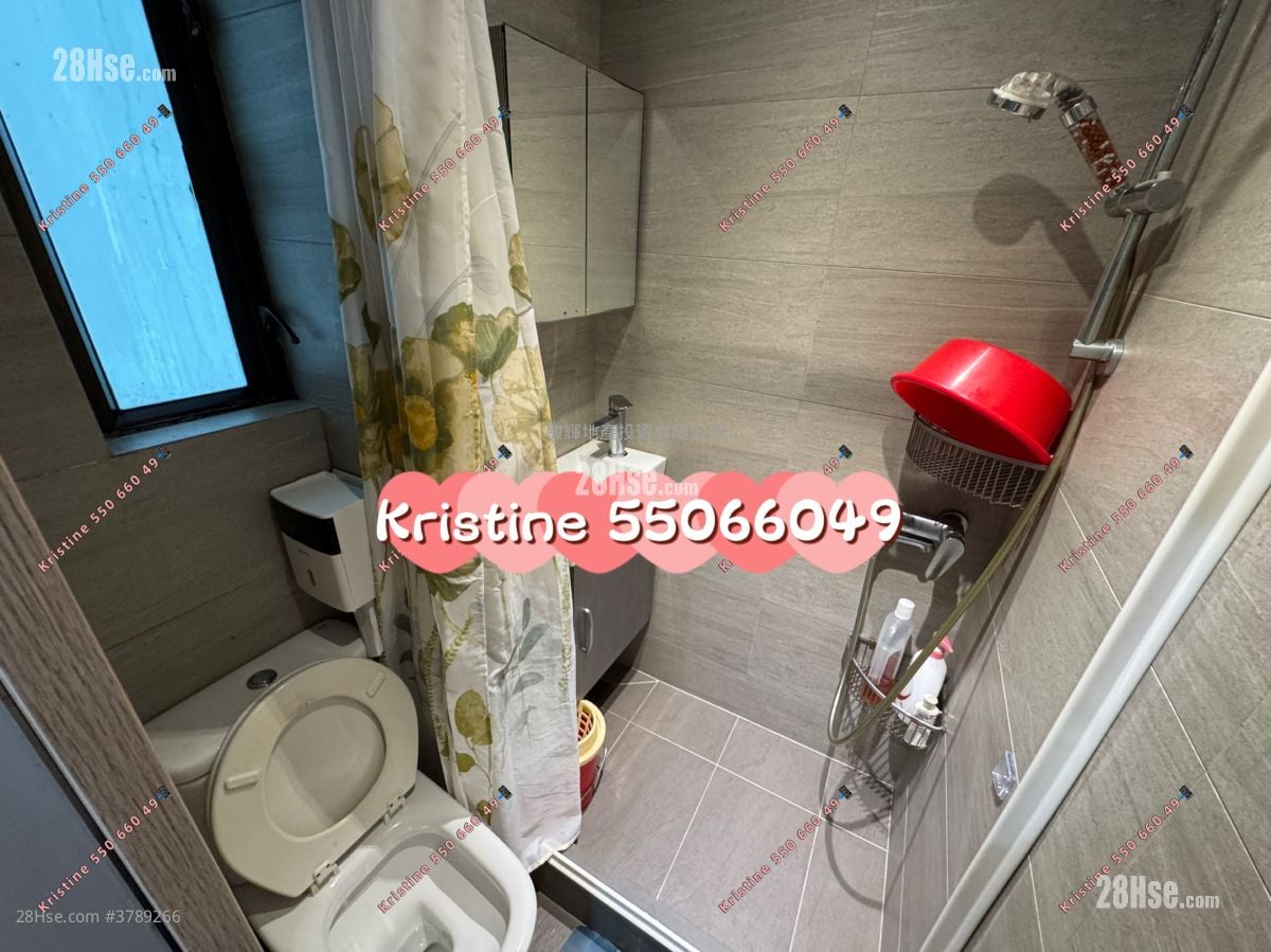 Winfield Building Rental 2 Bedrooms , 1 Bathroom 246 ft²