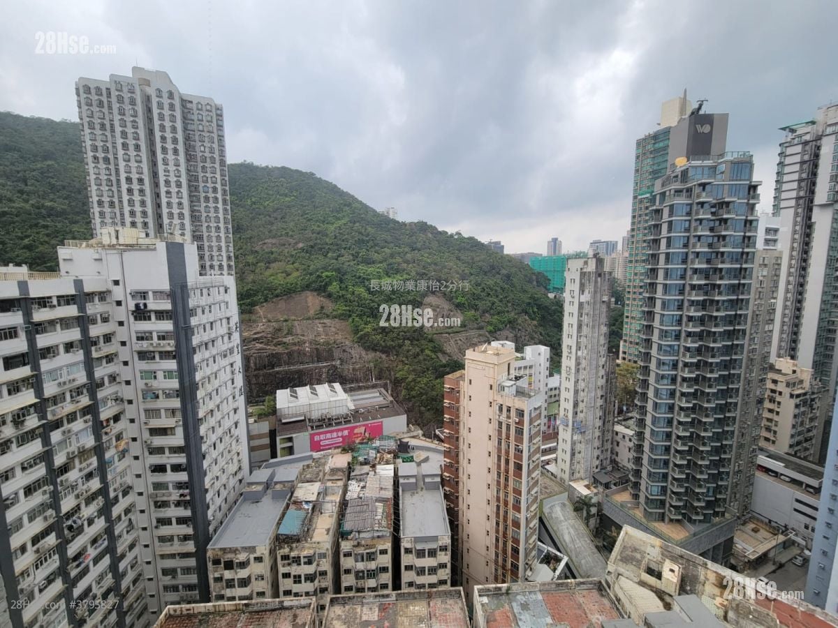 Hon Way Mansion Rental 1 Bedroom , 1 Bathroom 350 ft²