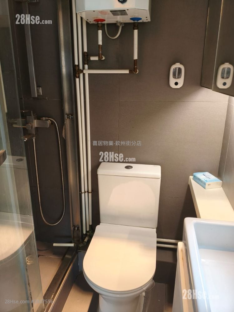 Comfort Court Rental Studio , 1 Bathroom 236 ft²