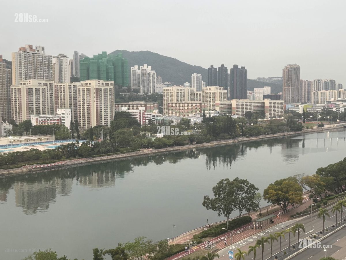 河畔花园 售盘 1 房 , 1 浴室 242 平方尺