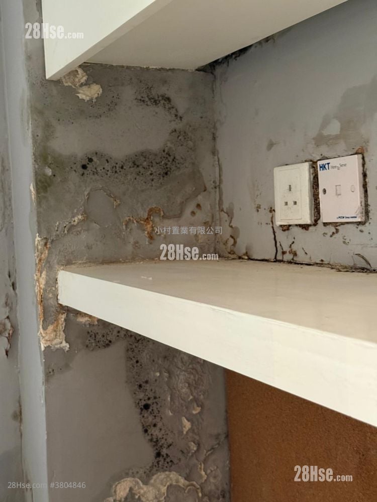 other: 18-20 Elgin Street Rental 1 Bedroom , 1 Bathroom 474 ft²