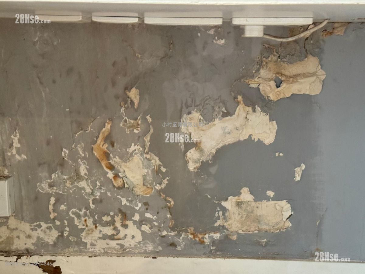 other: 18-20 Elgin Street Rental 1 Bedroom , 1 Bathroom 474 ft²