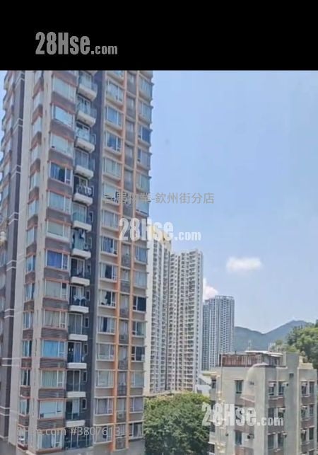 维邦大厦 售盘 2 房 , 1 浴室 292 平方尺