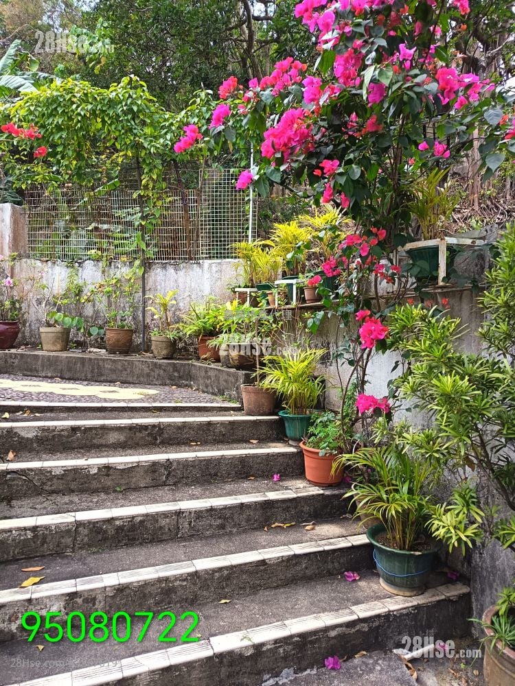 牛皮沙 售盘 3 房 , 2 浴室