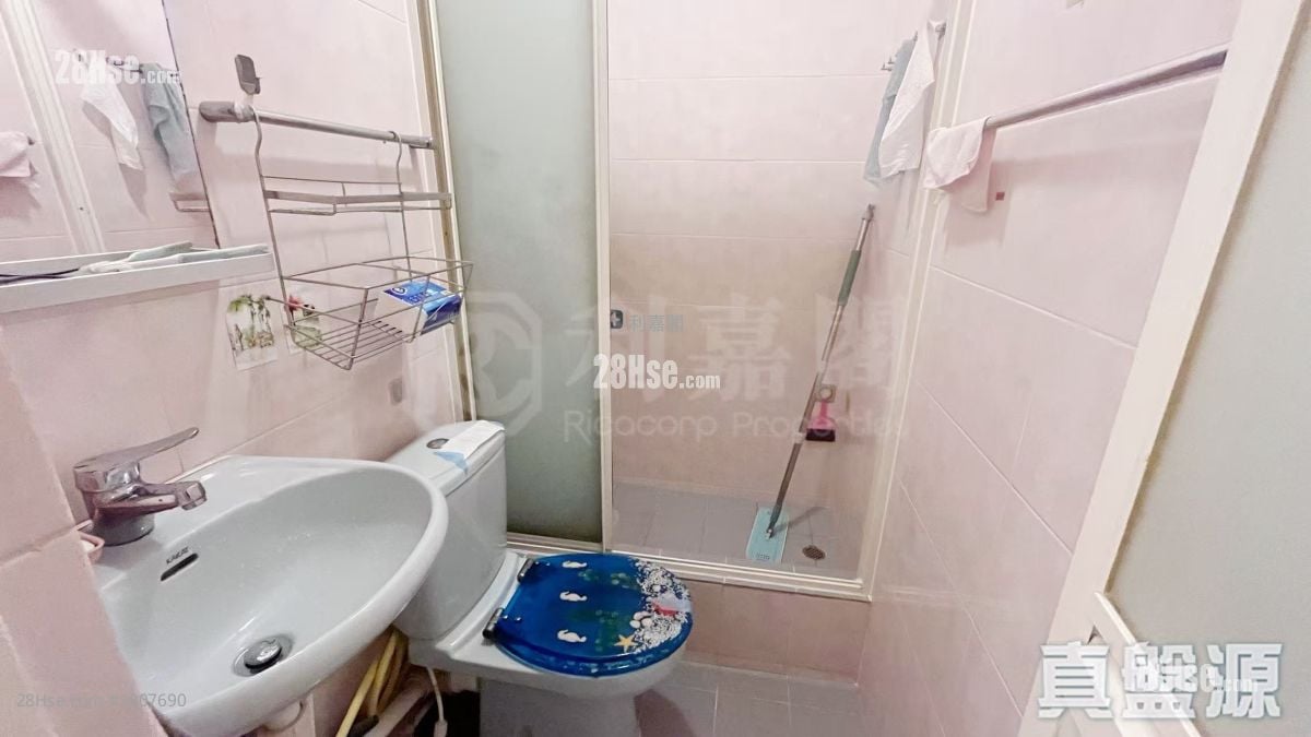 新围苑 售盘 3 房 554 平方尺