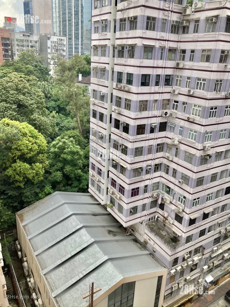 广利楼 租盘 2 房 , 1 浴室 268 平方尺