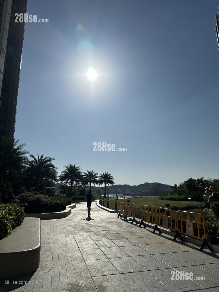 Grand Victoria Rental 1 Bedroom , 1 Bathroom 308 ft²