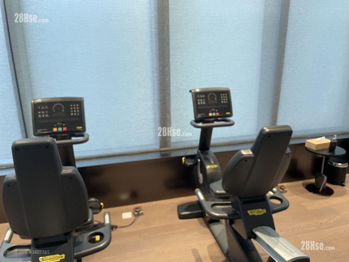 One Artlane Rental Studio , 1 Bathroom 230 ft²