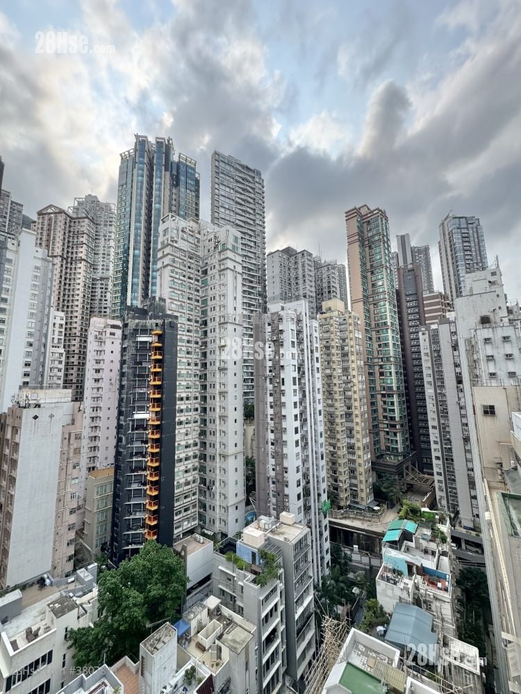 Upper Central Rental Studio , 1 Bathroom 168 ft²