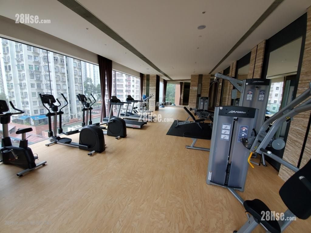 T Plus Rental 1 Bedroom , 1 Bathroom 227 ft²