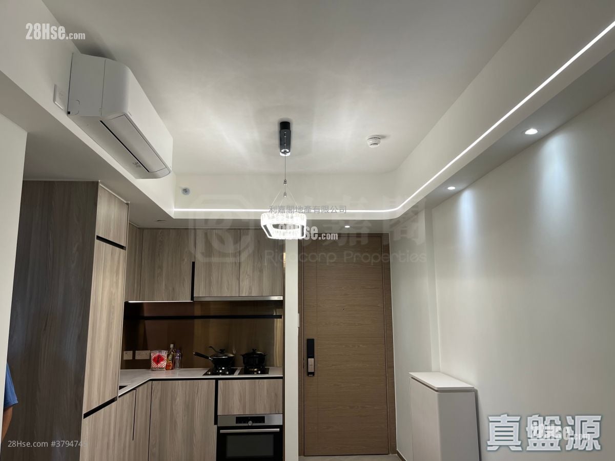 High Park Rental 443 ft²