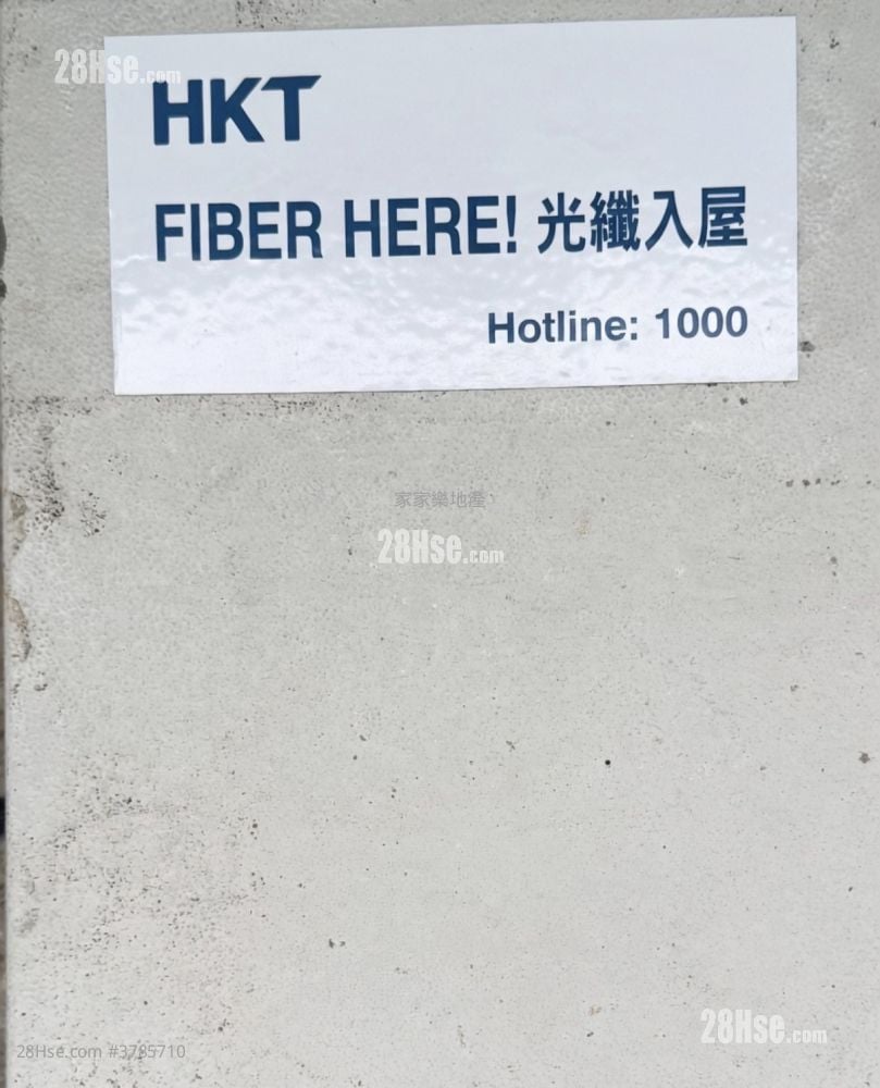 村屋 租盘 2 房 , 1 浴室 700 平方尺