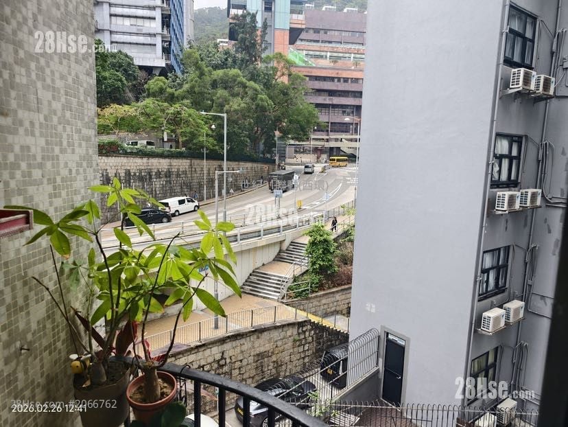 Good Luck Mansion Sell 3 Bedrooms , 2 Bathrooms 497 ft²