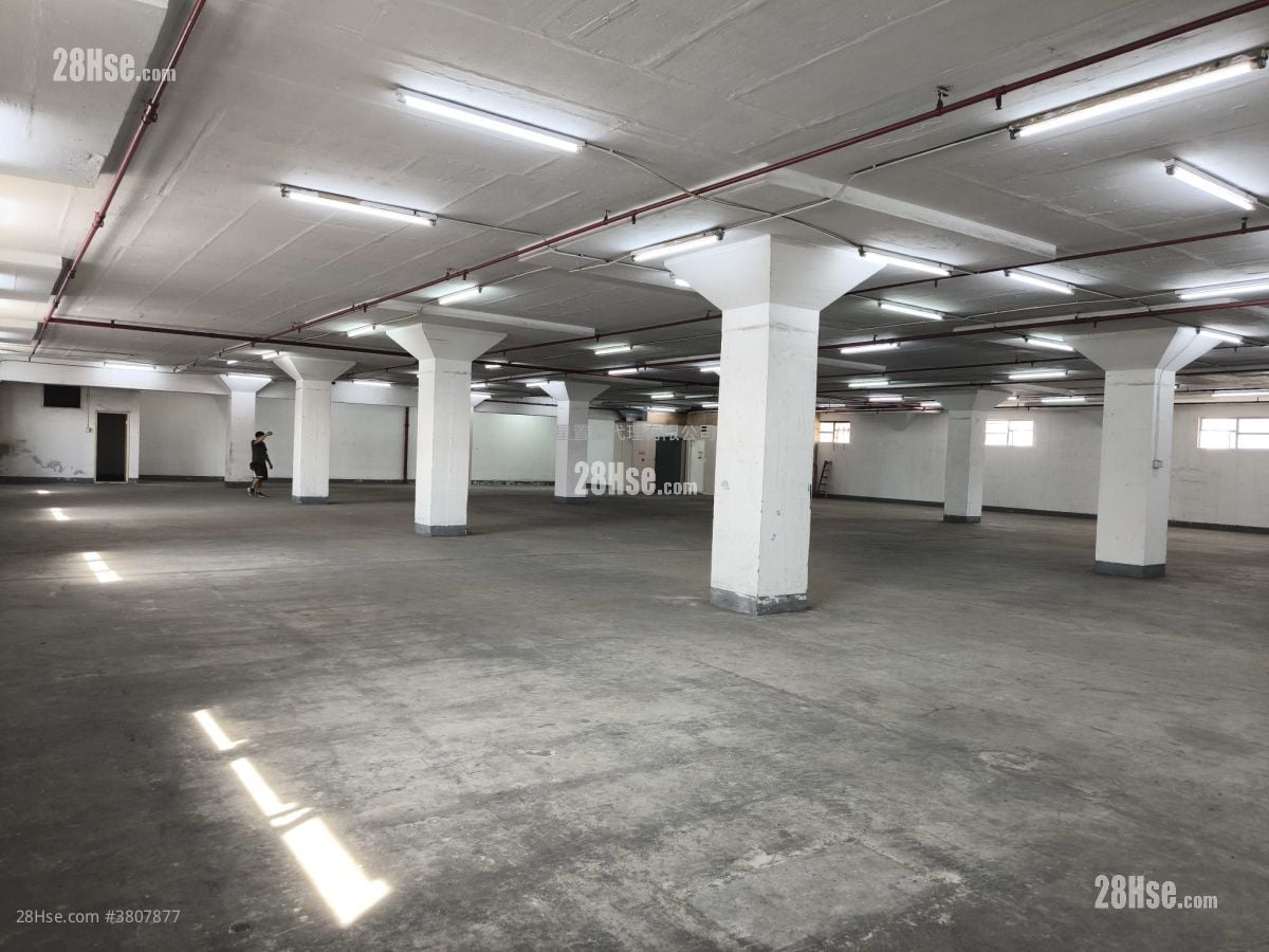 中侨货仓大厦 租盘