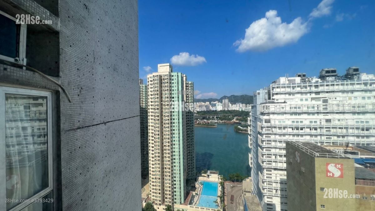 Greenfield Garden Rental 3 Bedrooms , 1 Bathroom 513 ft²