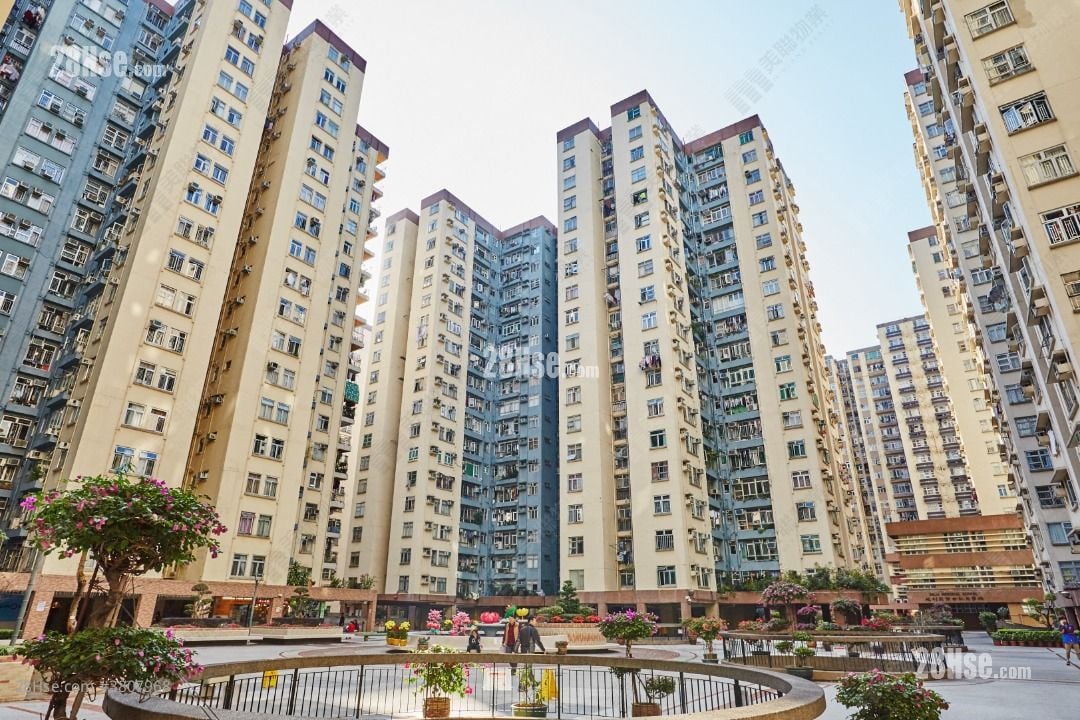 Mei Foo Sun Chuen Rental