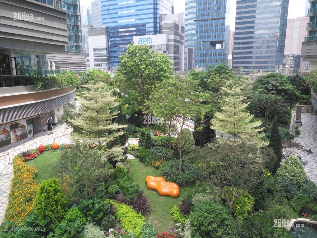 凯滙 租盘 3 房 , 1 浴室 597 平方尺