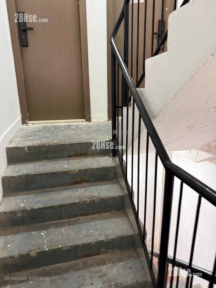 other: 18-20 Elgin Street Rental 1 Bedroom , 1 Bathroom 474 ft²