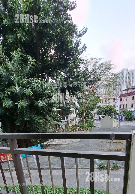 田心村(大围) 租盘 2 房 , 1 浴室