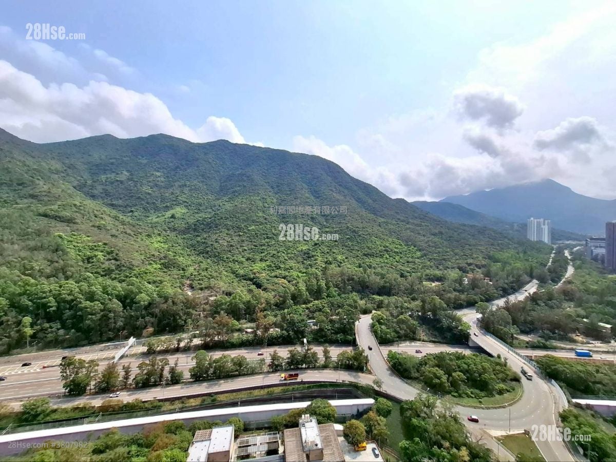 映湾园 租盘 2 房 552 平方尺