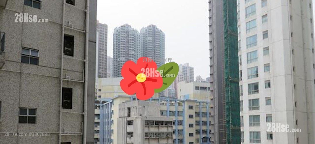 盈峰一號 租盤 1 房 , 1 浴室 401 平方呎