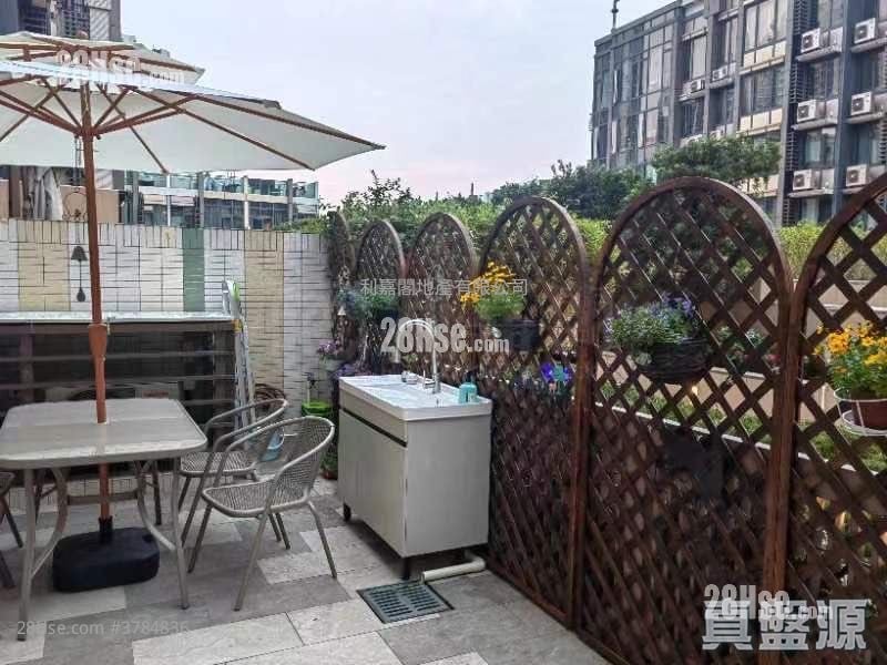 #LYOS 租盘 443 平方尺