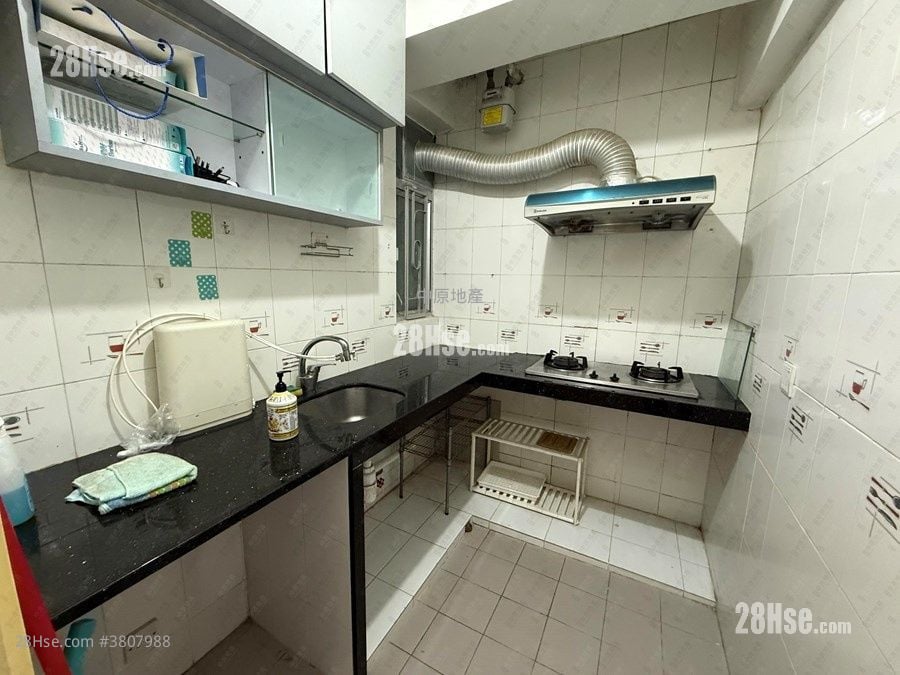 粉岭中心 租盘 3 房 513 平方尺